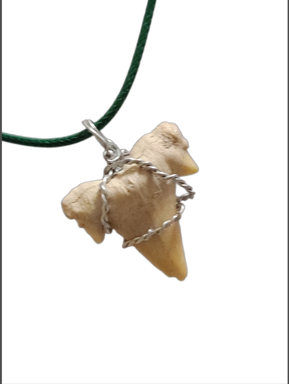 Genuine Fossilized Shark Tooth Pendant with Green Cord Necklace - Picture 3 of 6